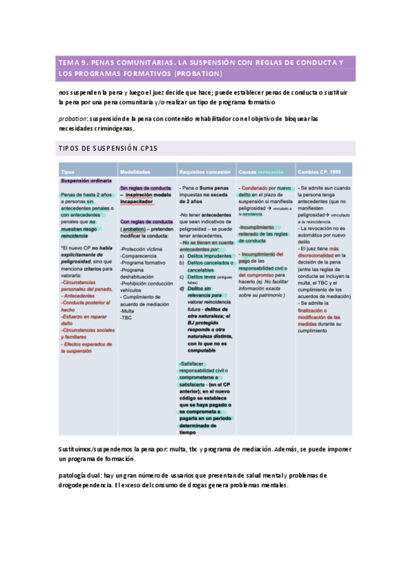 Miniatura del documento TEMA-9.-Penas-comunitarias.pdf