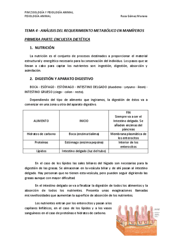 Miniatura del documento TEMA 4.pdf
