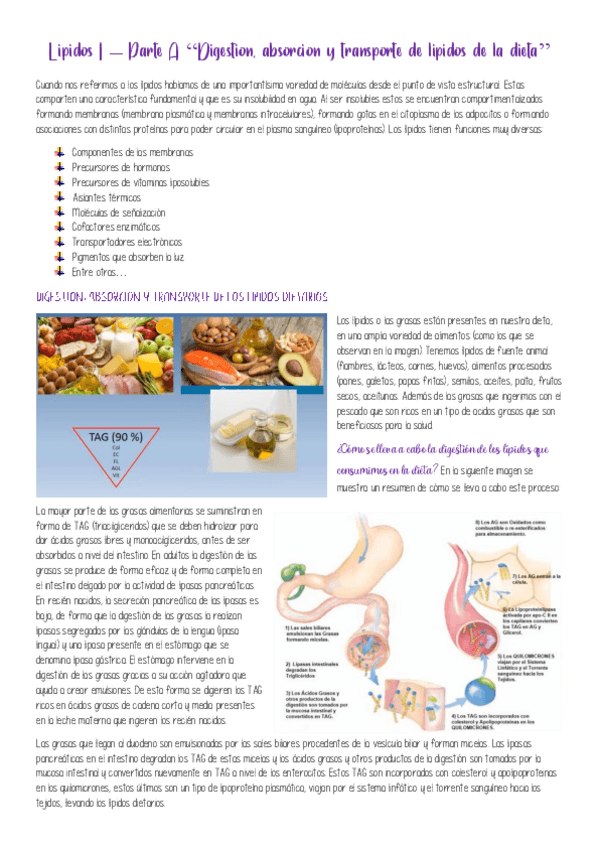 Miniatura del documento Resumen-de-Lipidos-I-Parte-A.pdf