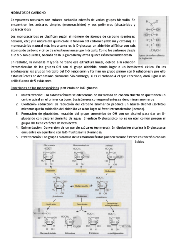 Miniatura del documento Resumen-hidratos-de-carbono.pdf