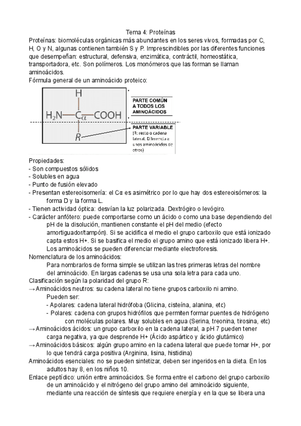 Miniatura del documento Tema-4-Proteinas.pdf