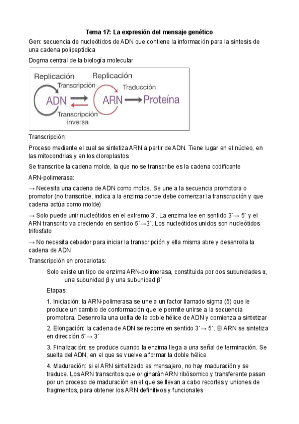 Miniatura del documento Tema-17-La-expresion-del-mensaje-genetico.pdf