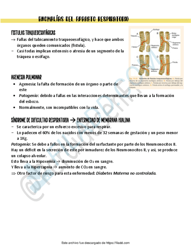 Miniatura del documento 8-Anomalias-del-Aparato-Respiratorio.pdf