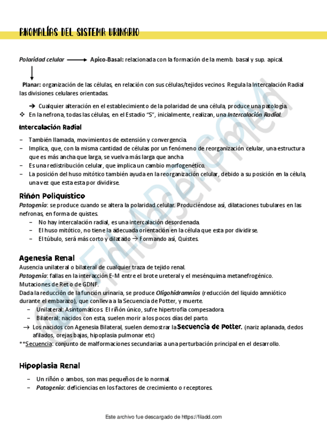 Miniatura del documento 9Anomalias-del-sistema-urinario.pdf