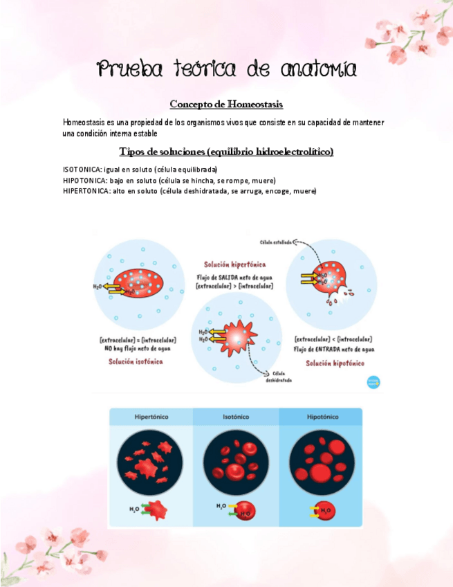 Miniatura del documento Guia-de-estudio-para-la-Prueba-teorica-de-Anatomia-y-fisiologia.pdf
