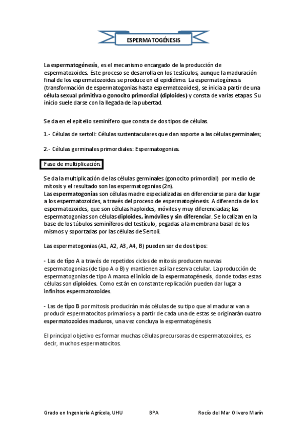 Miniatura del documento ESPERMATOGÉNESIS - pdf.pdf