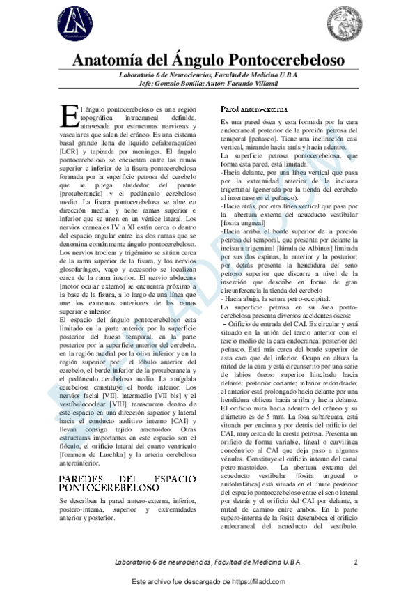 Miniatura del documento Angulo-Pontocerebeloso.pdf