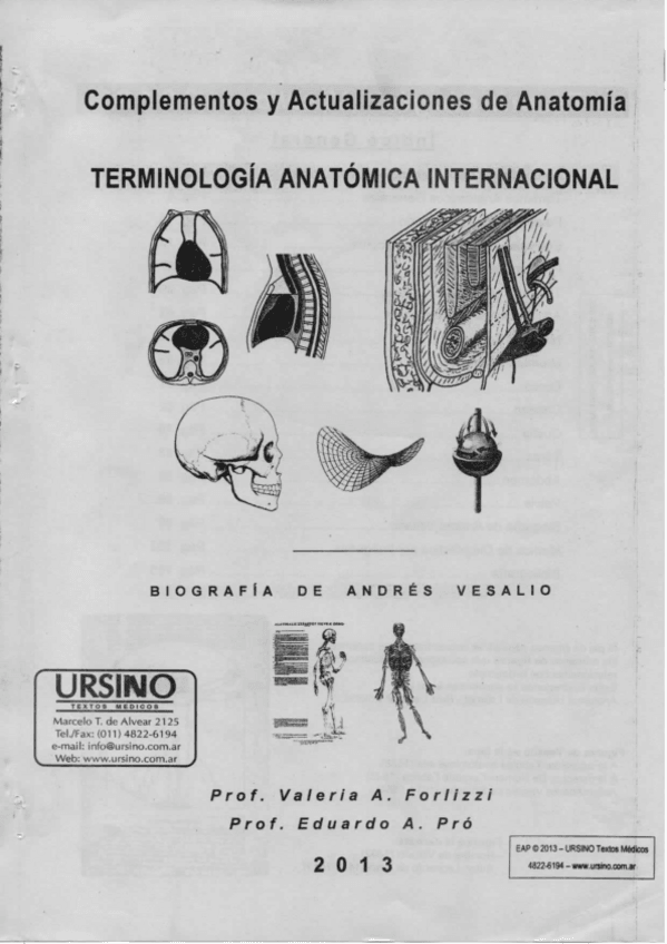 Miniatura del documento Apunte-de-Pro-Forlizzi.pdf