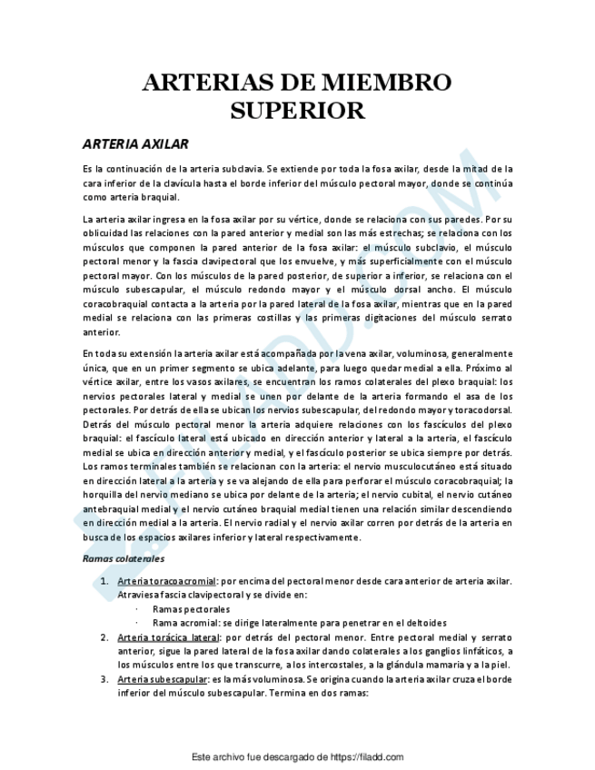 Miniatura del documento ARTERIAS-DE-MIEMBRO-SUPERIOR.pdf