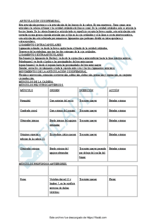 Miniatura del documento Articulacion-Coxofemoral.pdf