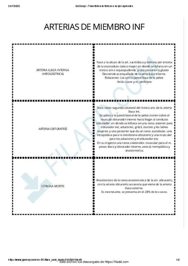 Miniatura del documento APUNTES-ANATOMIA-2.pdf