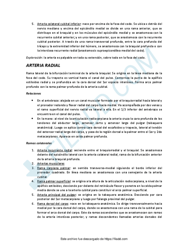 Miniatura del documento APUNTES-ANATOMIA-3.pdf