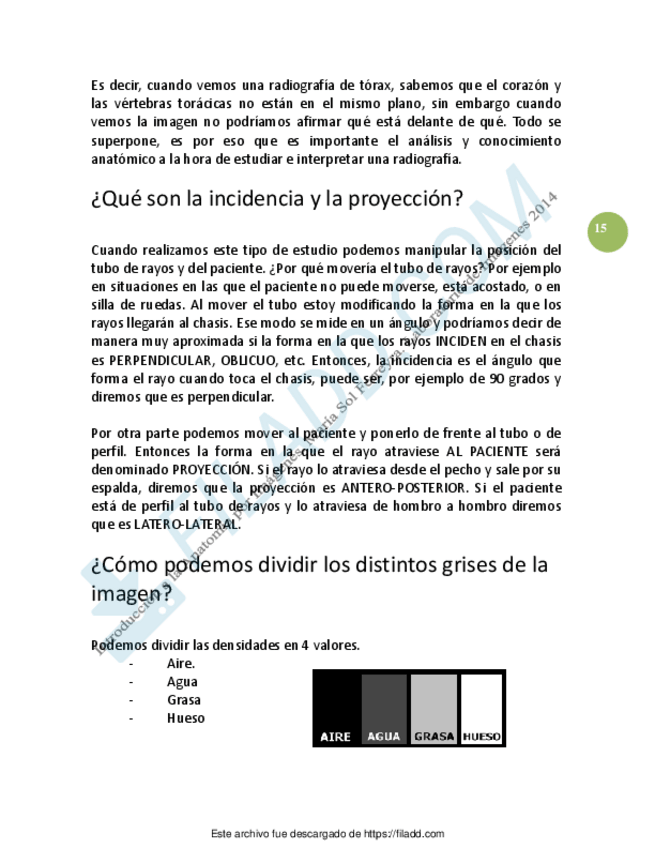 Miniatura del documento APUNTES-ANATOMIA-5.pdf