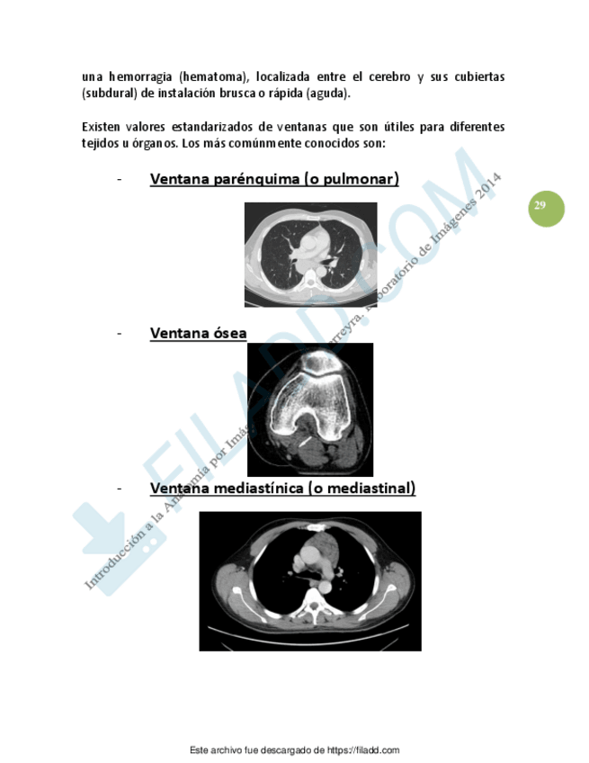 Miniatura del documento APUNTES-ANATOMIA-6.pdf