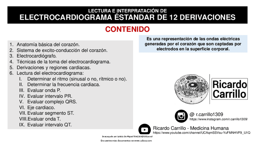 Miniatura del documento Los-mejores-apuntes-de-ECG.pdf