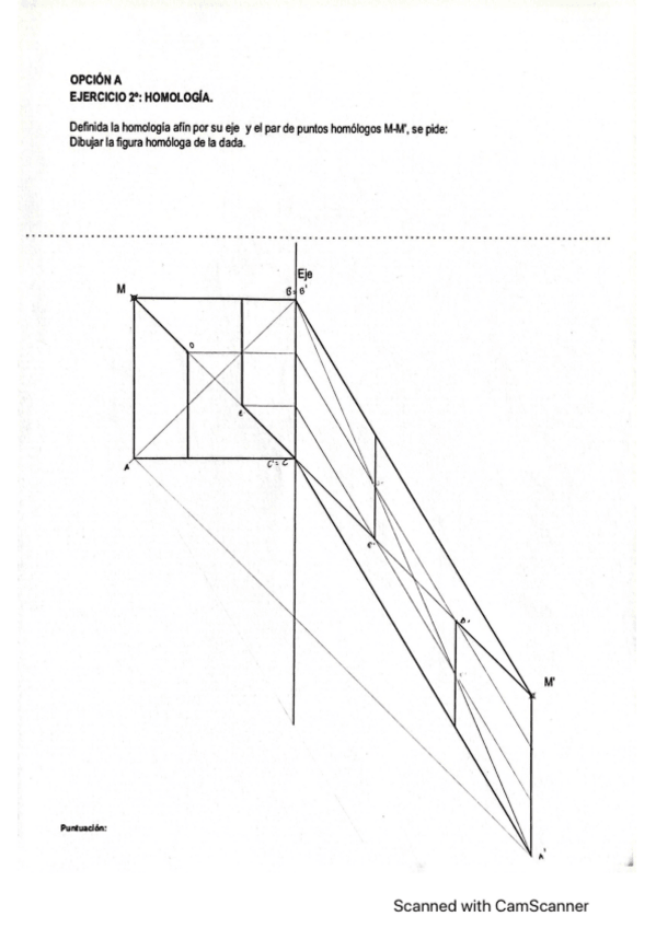 Miniatura del documento Ejercicios-Homologia-afinidad-y-transformaciones-geometricas-PEvAU-Andalucia.pdf