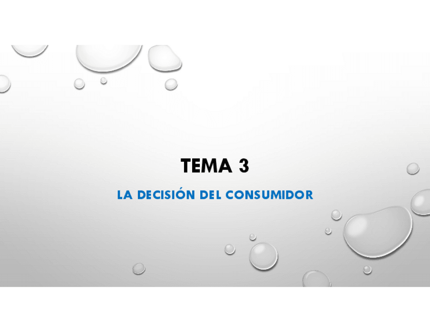 Miniatura del documento TEMA-3-LA-DECISION-DEL-CONSUMIDOR.pdf