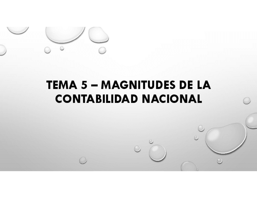 Miniatura del documento TEMA-5-MAGNITUDES-DE-LA-CONTABILIDAD-NACIONAL.pdf
