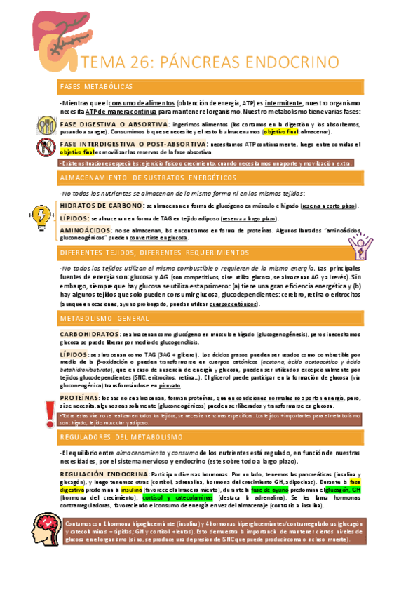 Miniatura del documento Pancreas-endocrino.pdf