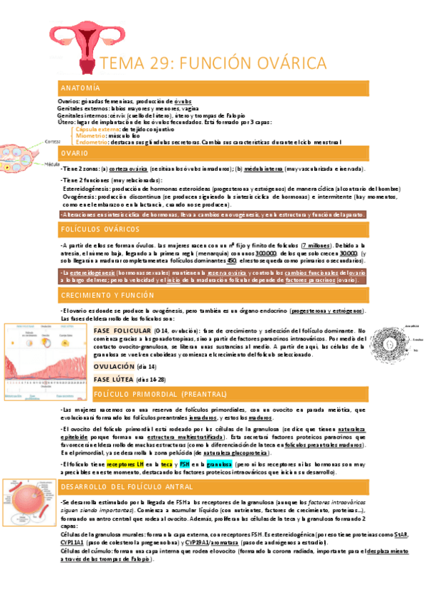 Miniatura del documento Funcion-ovarica.pdf