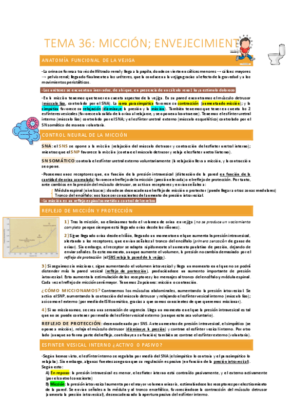 Miniatura del documento Miccion-envejecimiento.pdf