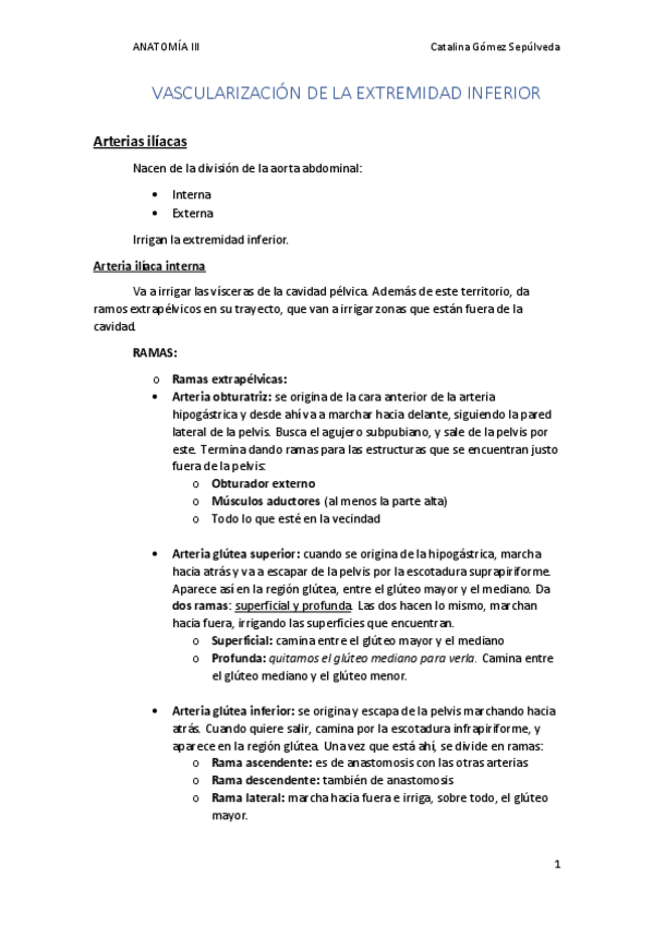 Miniatura del documento 6.-VASCULARIZACION-DE-LA-EXTREMIDAD-INFERIOR.pdf