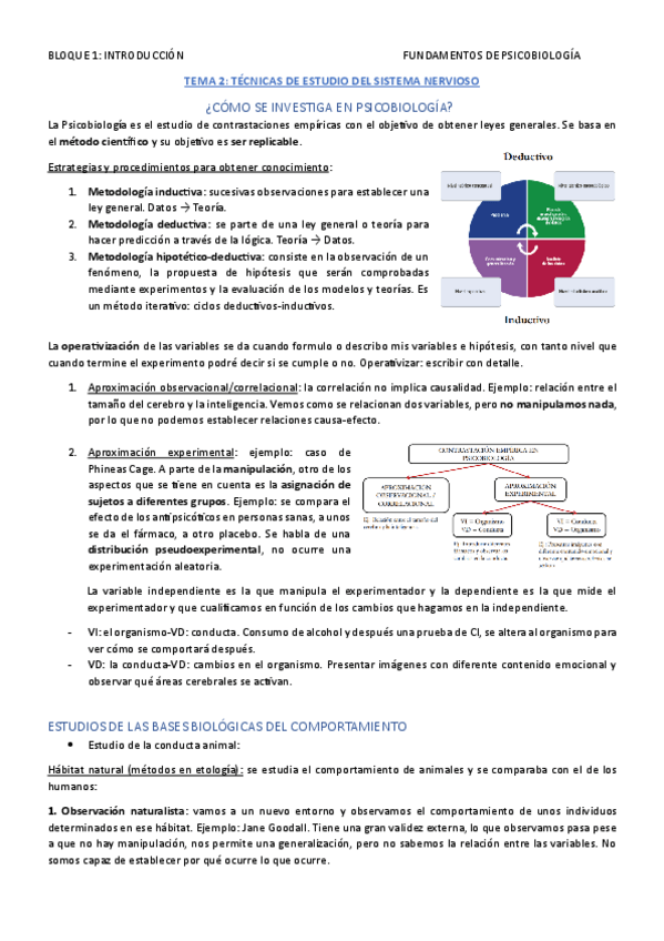 Miniatura del documento FUND.-DE-PSICOBIOLOGIA-TEMA-2.pdf