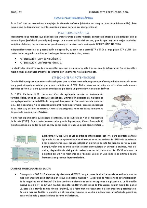 Miniatura del documento FUND.-DE-PSICOBIOLOGIA-TEMA-6--TEMA-7.pdf