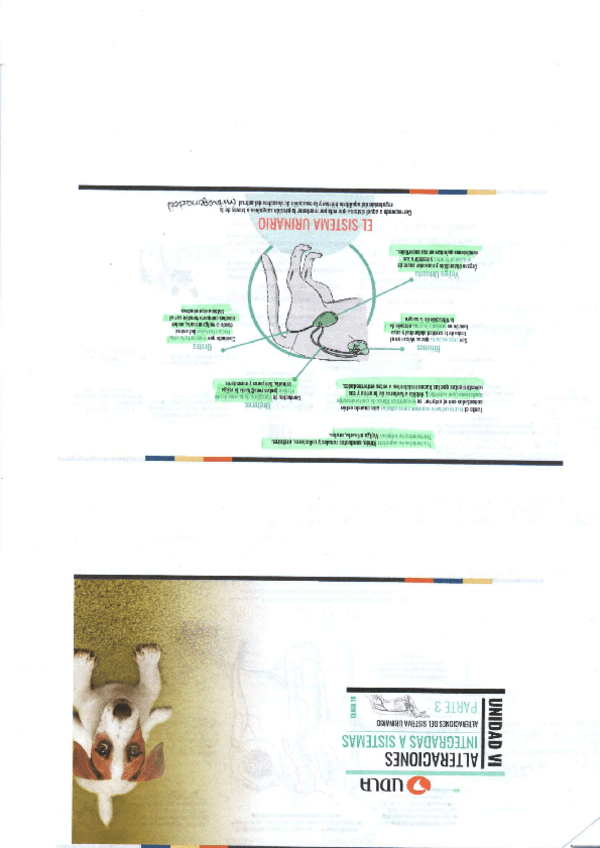 Miniatura del documento img2023071019280128.pdf