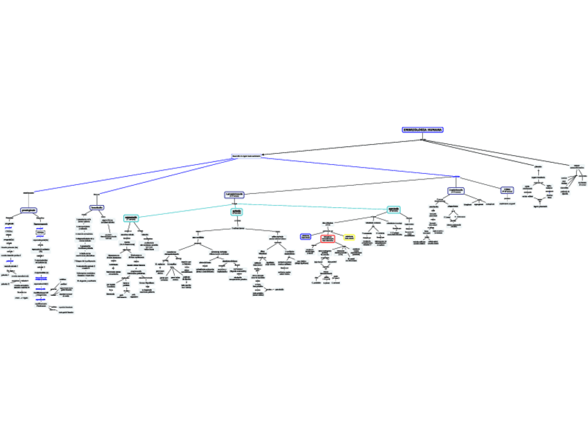 Miniatura del documento EMBRIOLOGIA1o-4o-SEMANAcompressed.pdf