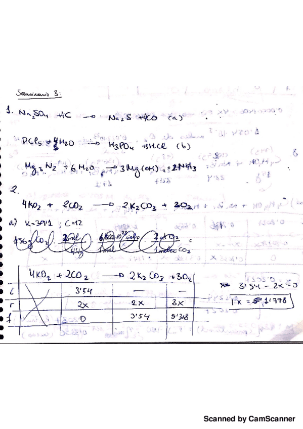 Miniatura del documento (q) seminario 3.pdf