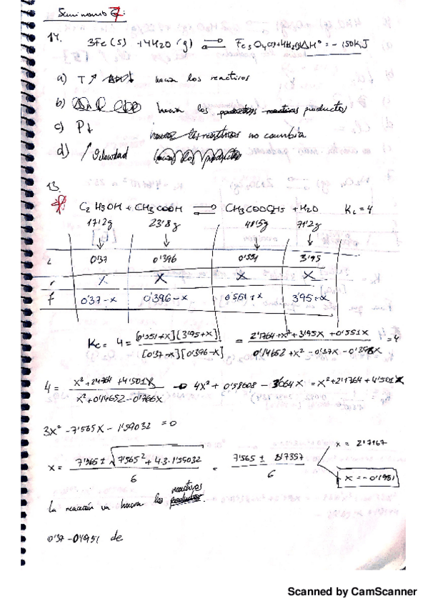 Miniatura del documento (q) seminario 7.pdf