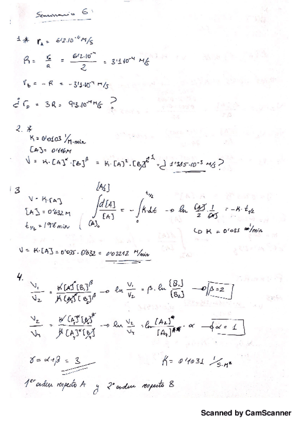 Miniatura del documento (q) seminario 6.pdf