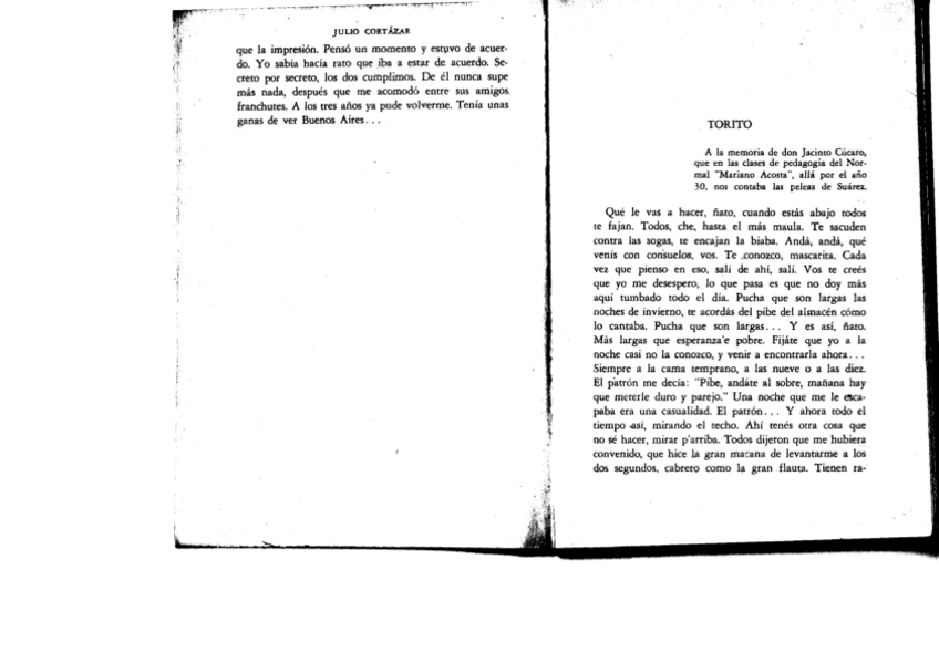 Miniatura del documento TORITO-DE-JULIO-CORTAZAR.pdf