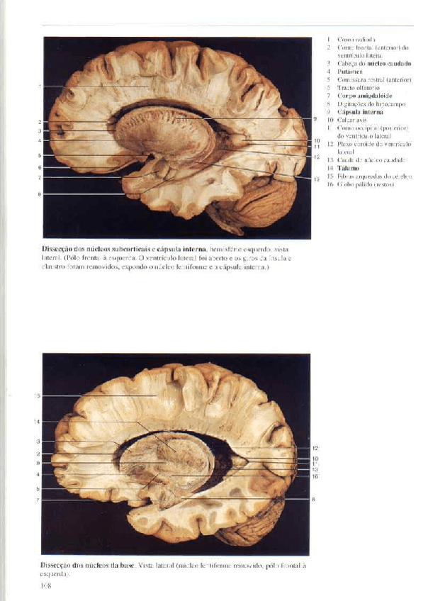 Miniatura del documento Atlas-Yokochi-6ta-1-7.pdf