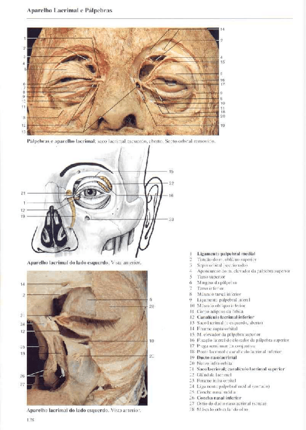 Miniatura del documento Atlas-Yokochi-6ta-1-8.pdf
