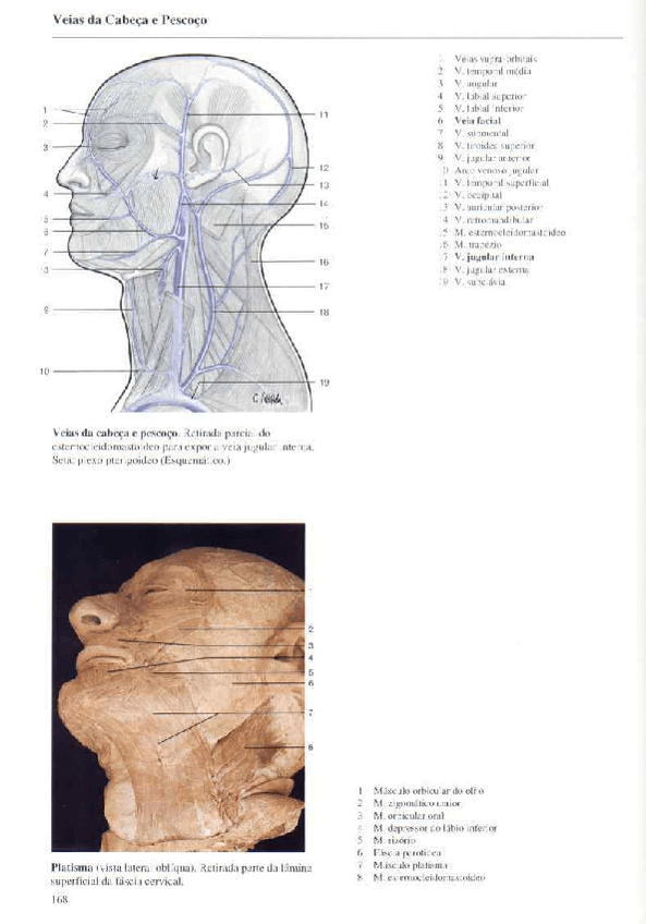 Miniatura del documento Atlas-Yokochi-6ta-1-10.pdf