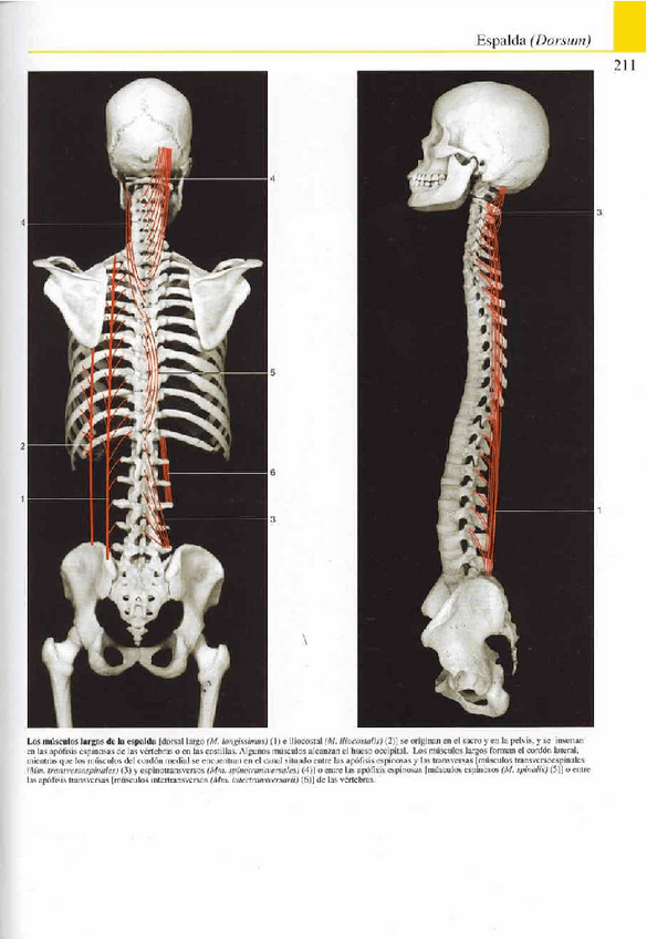 Miniatura del documento Atlas-Yokochi-6ta-1-12.pdf