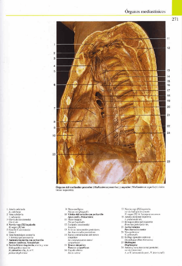 Miniatura del documento Atlas-Yokochi-6ta-1-15.pdf