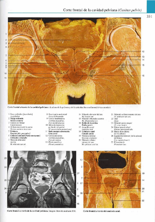 Miniatura del documento Atlas-Yokochi-6ta-1-18.pdf