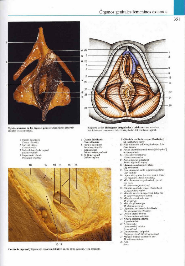 Miniatura del documento Atlas-Yokochi-6ta-1-19.pdf