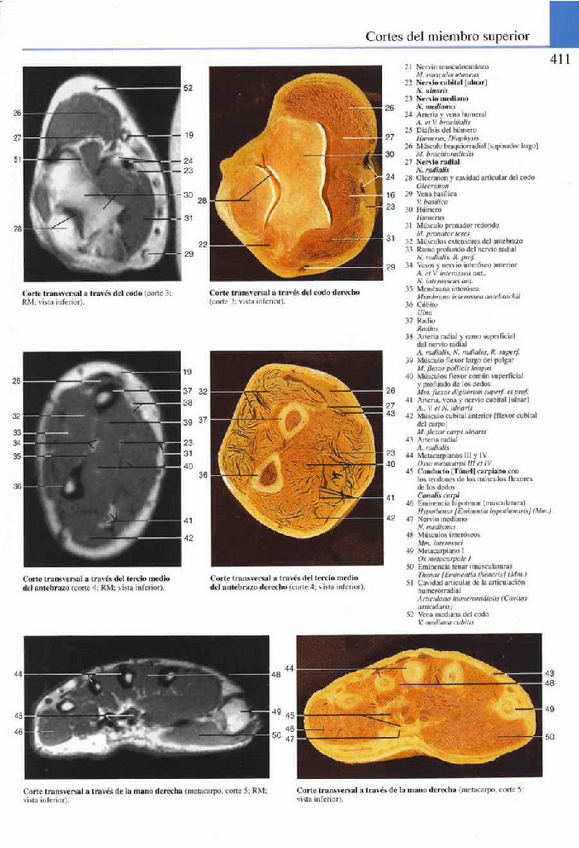 Miniatura del documento Atlas-Yokochi-6ta-1-22.pdf