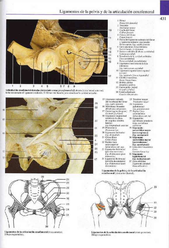 Miniatura del documento Atlas-Yokochi-6ta-1-23.pdf