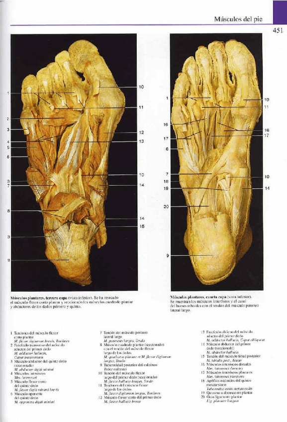 Miniatura del documento Atlas-Yokochi-6ta-1-24.pdf