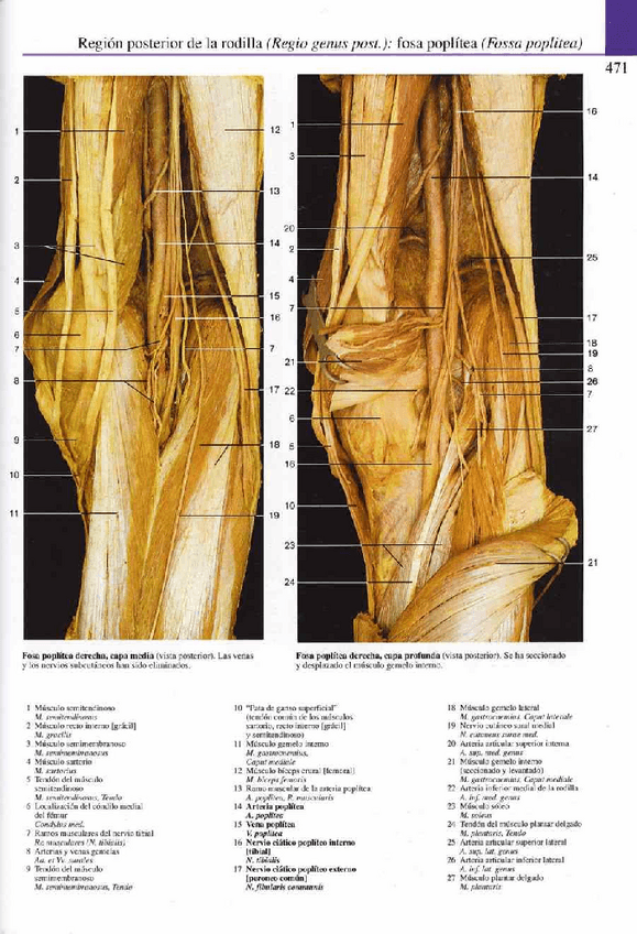Miniatura del documento Atlas-Yokochi-6ta-1-25.pdf