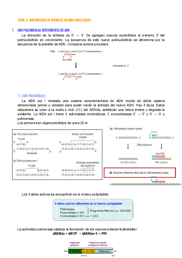 Miniatura del documento Tema-3.pdf
