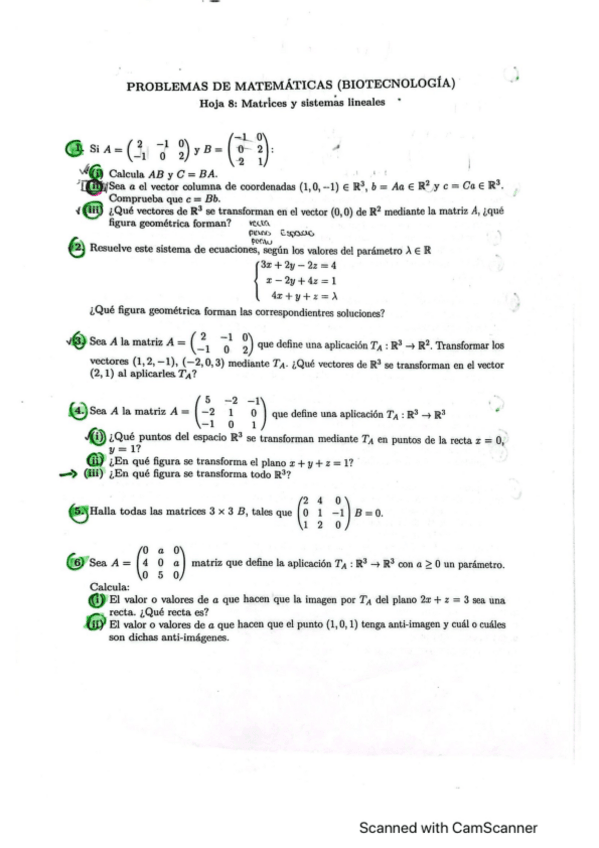 Miniatura del documento Hoja-8.pdf