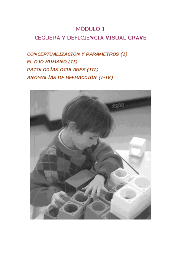 Miniatura del documento T1-Cegueraydeficienciavisualgrave.pdf