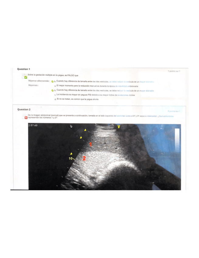 Miniatura del documento Examen-TEORIA-I-JULIO-2023-Respondus.pdf