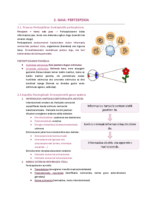 Miniatura del documento 2.-GAIA-PERTZEPZIOA.pdf